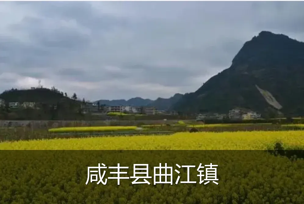 咸丰县曲江镇